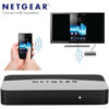 NETGEAR PTV3000-100NAS Push2TV Wireless Display Adapter -Certified for Use with Kindle Fire HDX