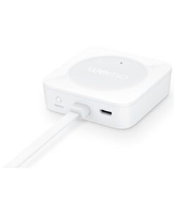 Wemo Bridge